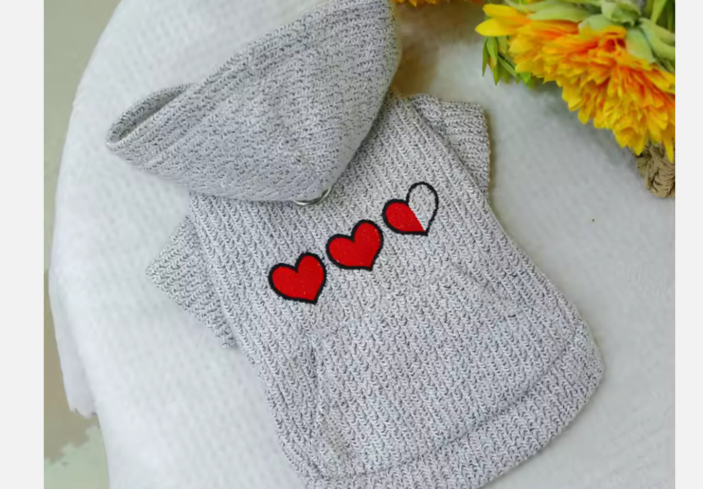 Chihuahua Heart Pattern Sweater