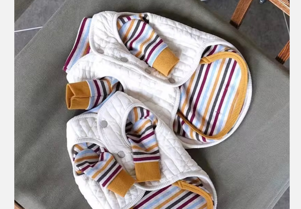 Cute Chihuahua Sweater & Hoodie
