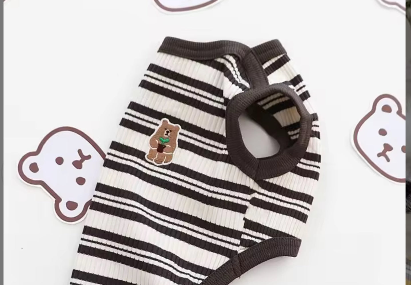 Chihuahua Cute Bear Vest