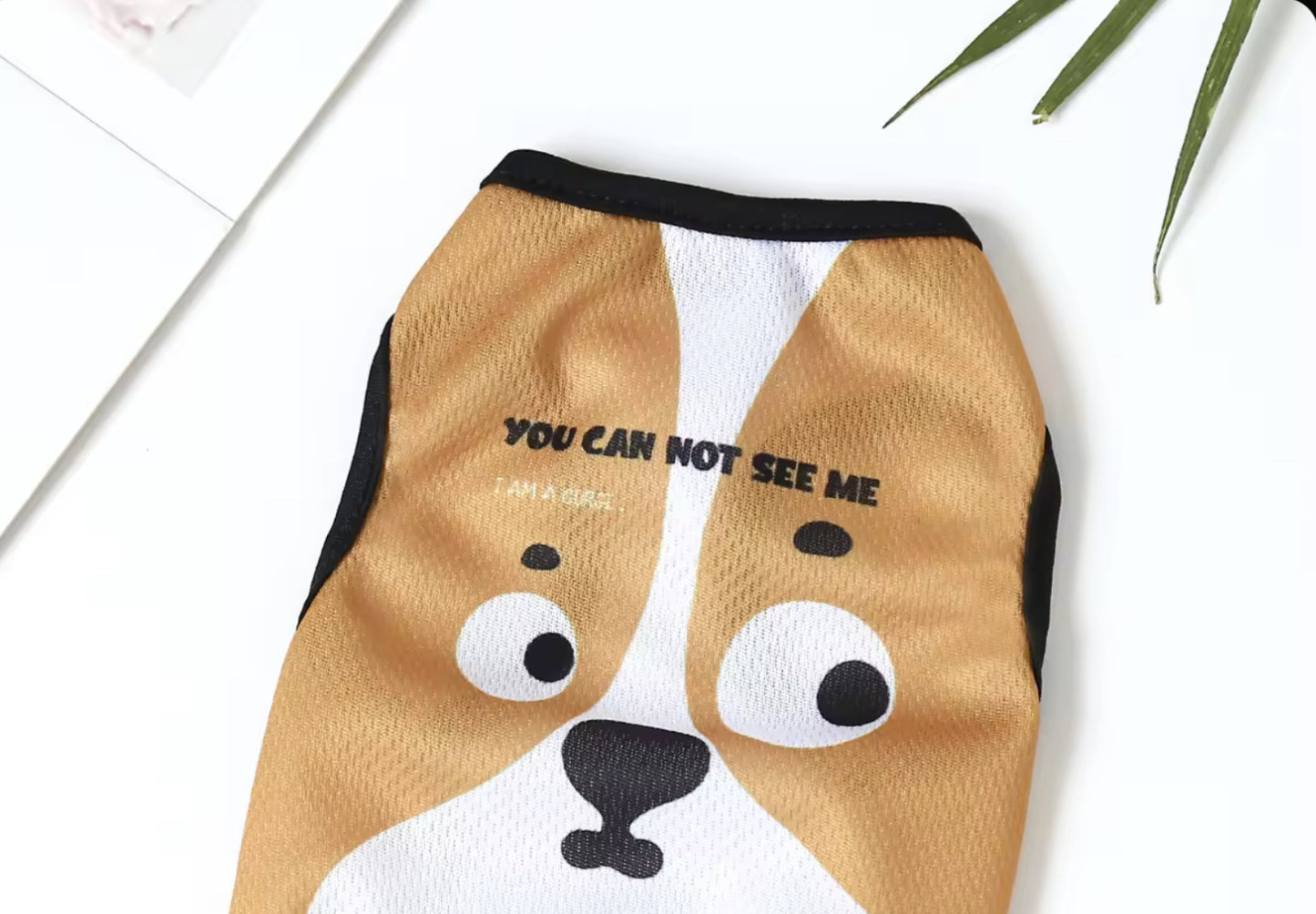 Cartoon Summer Chihuahua Shirt