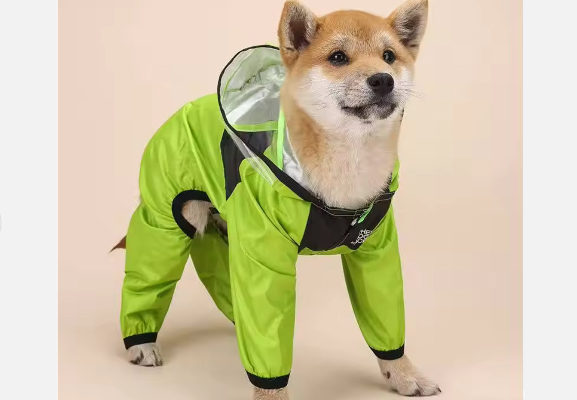 Chihuahua Rain jacket