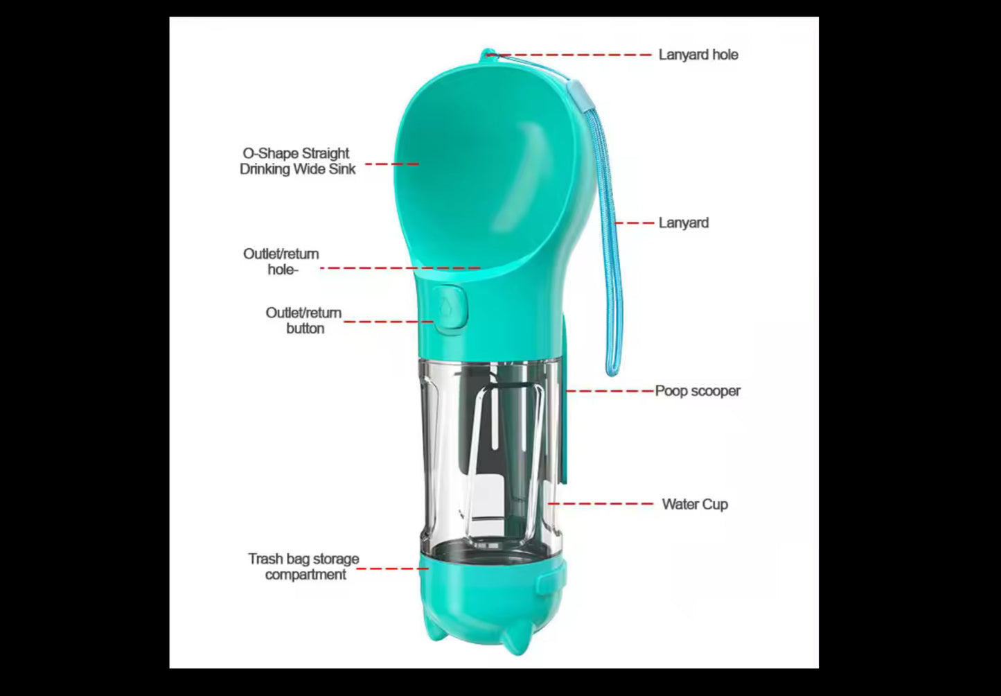 Chihuahua Water Bottle