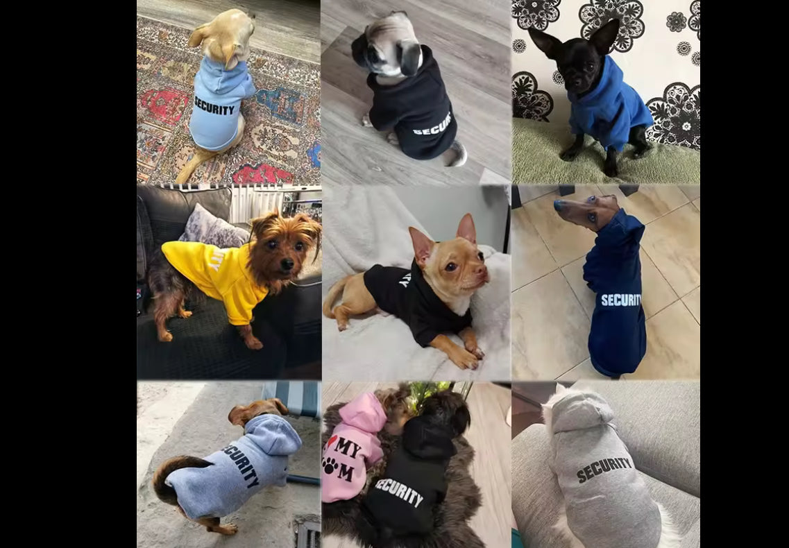 Chihuahua Security Hoodie