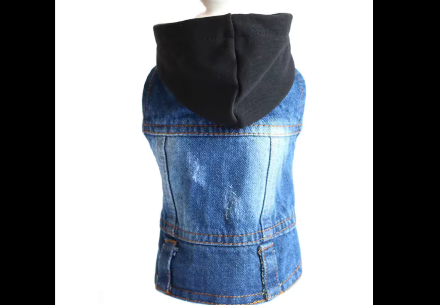 Chihuahua Jean Jacket