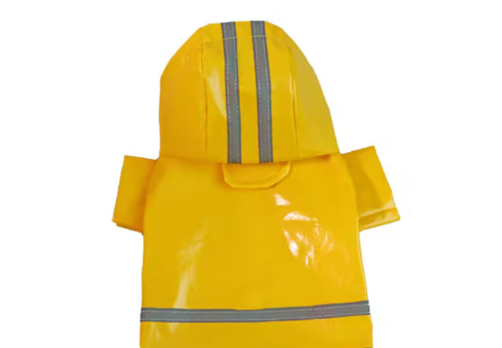 Cute Chihuahua Rain Coat