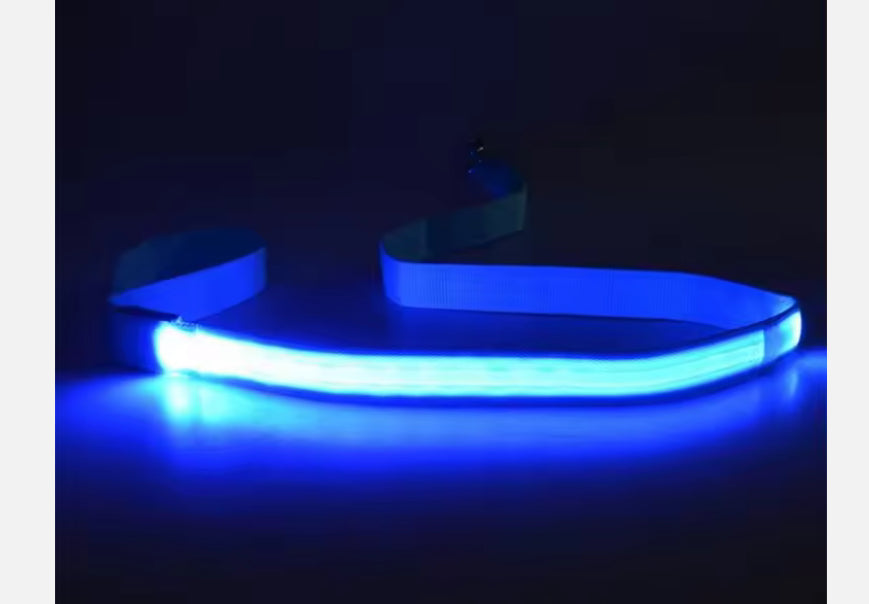 Safety Chihuahua Light Up Leash