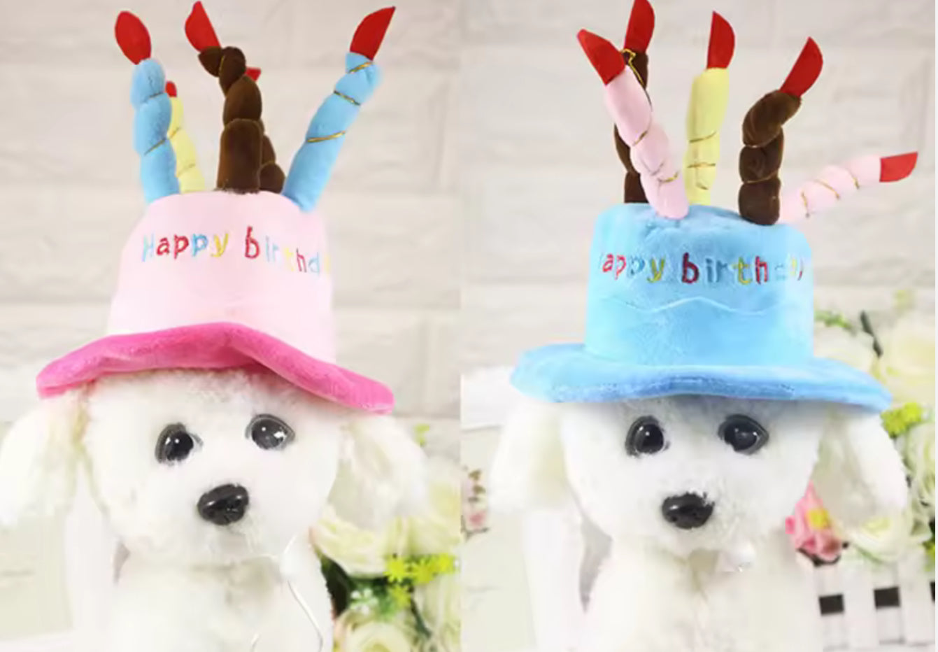 Chihuahua Birthday Hat