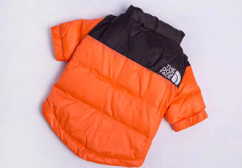 Winter Chihuahua Jacket