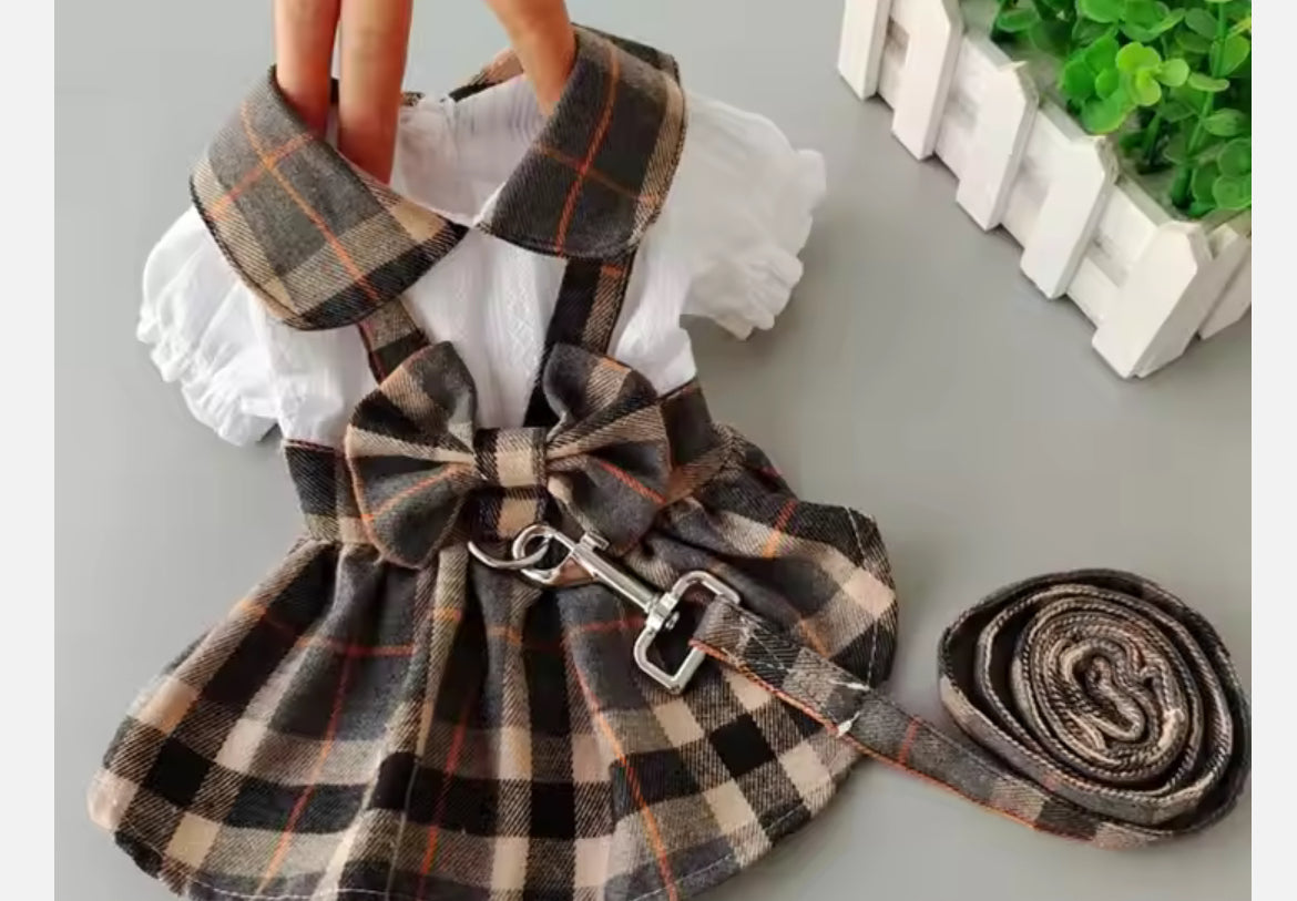 Cute Chihuahua Plaid Shirt And Leash