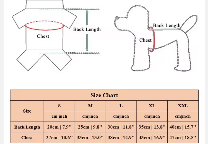 Cute Chihuahua Plaid Shirt And Leash