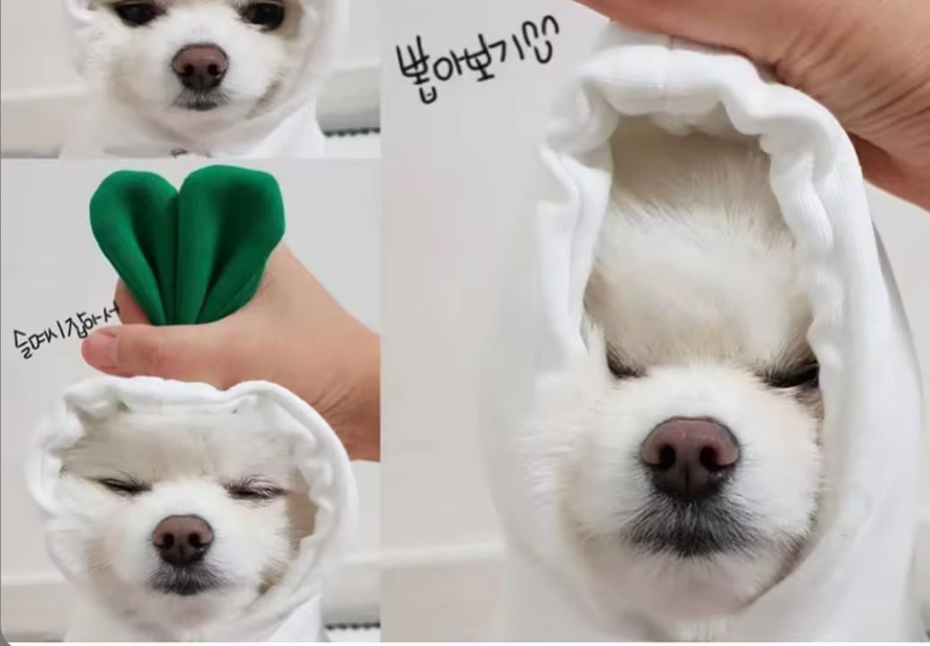 Cute Chihuahua Costume