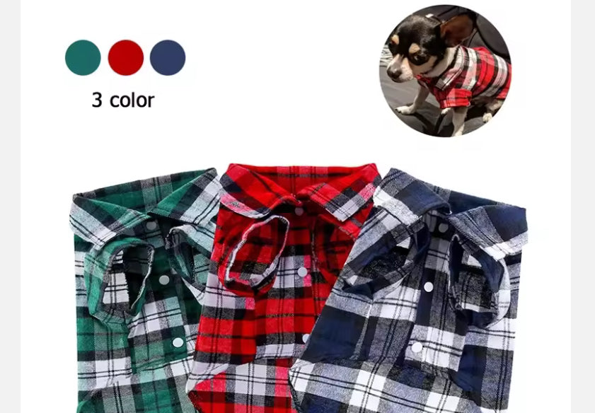 Chihuahua Plaid Shirt