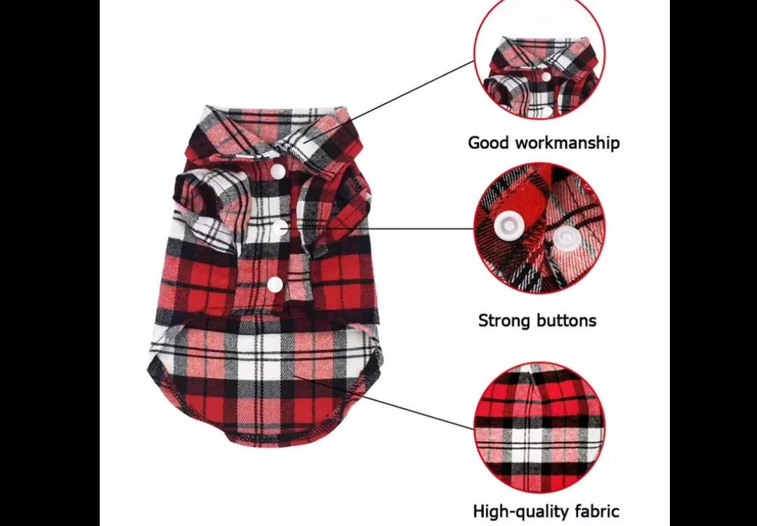 Chihuahua Plaid Shirt