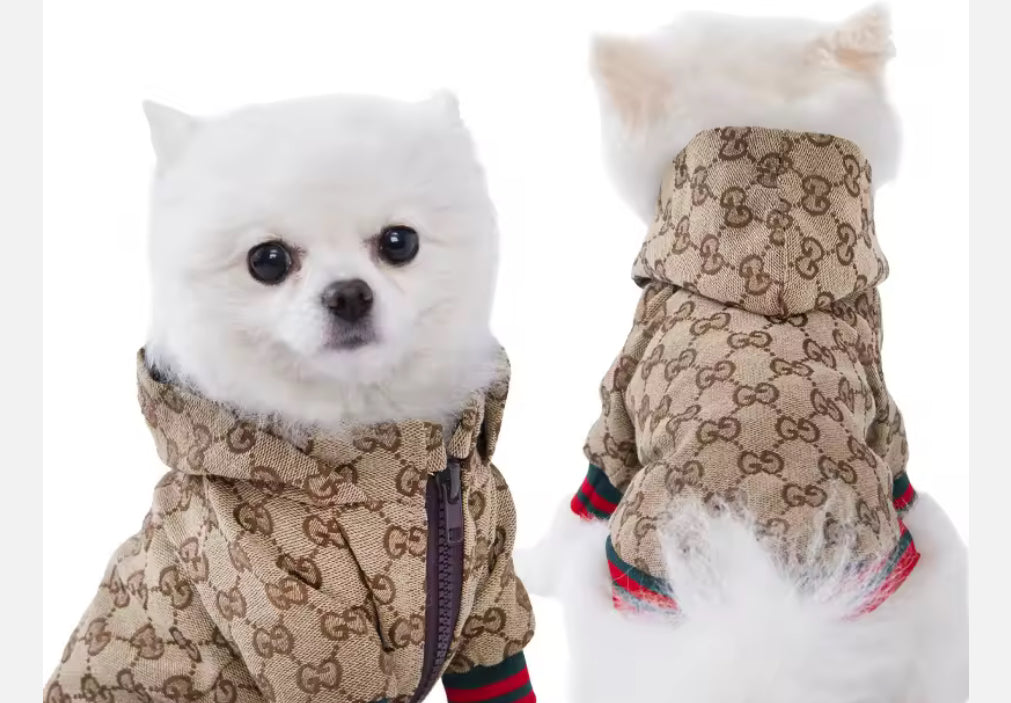 Luxury Chihuahua Hoodie Jacket