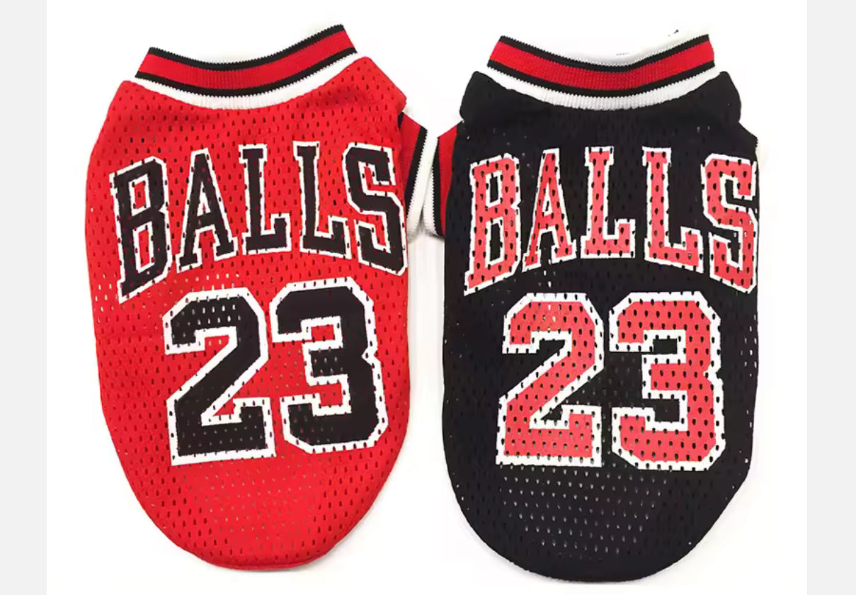Chihuahua Sports Jersey