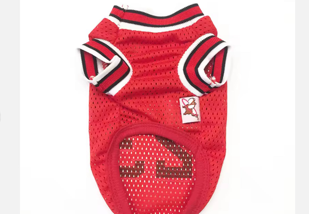 Chihuahua Sports Jersey