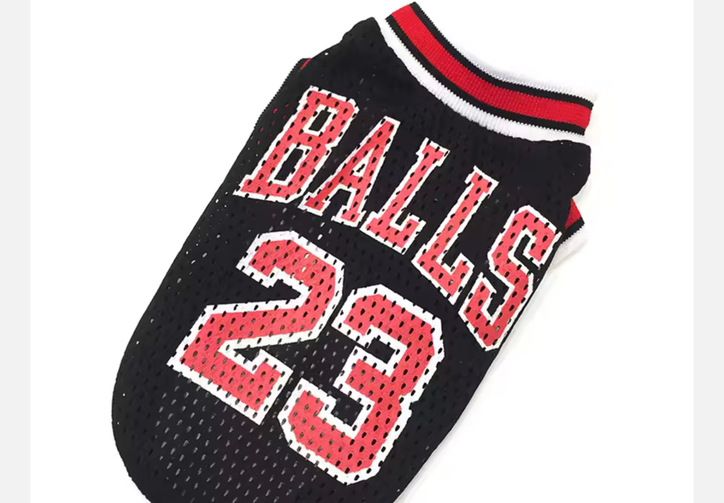 Chihuahua Sports Jersey