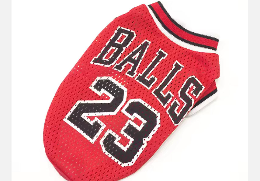 Chihuahua Sports Jersey