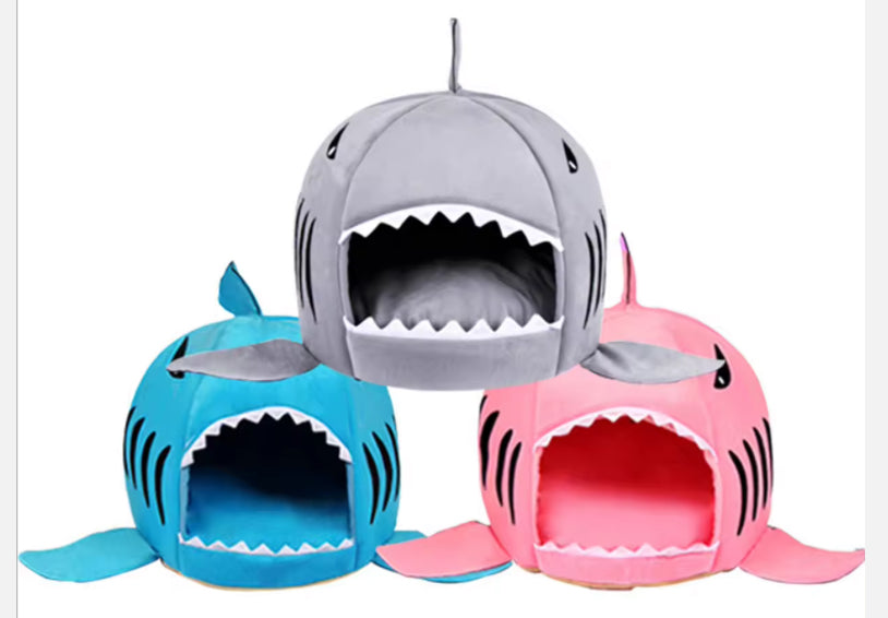 Cute Chihuahua Shark House