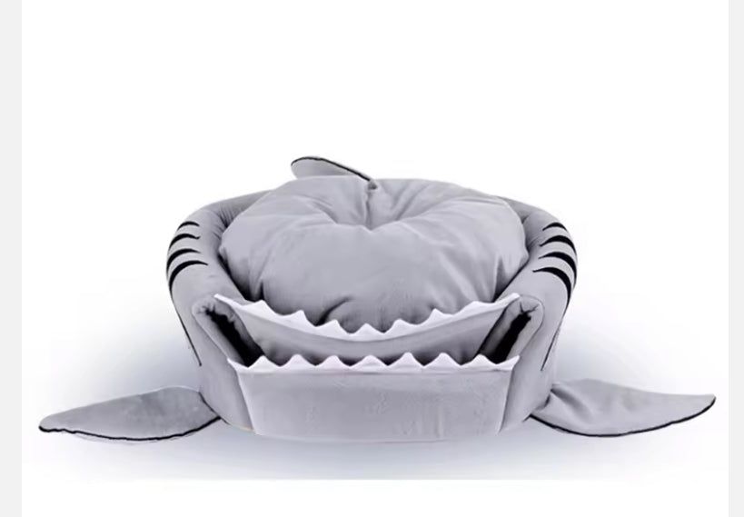 Cute Chihuahua Shark House