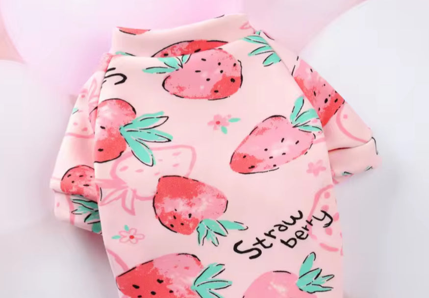Cute Cartoon Chihuahua Shirt