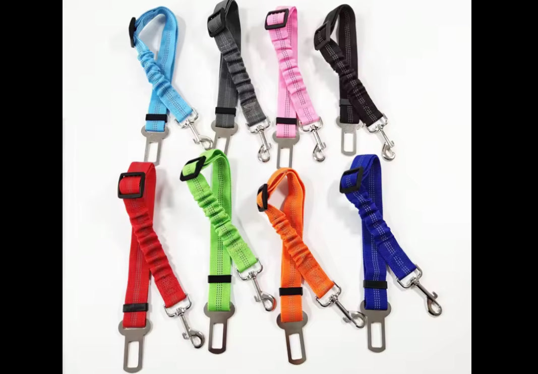 Dog Seat Belt