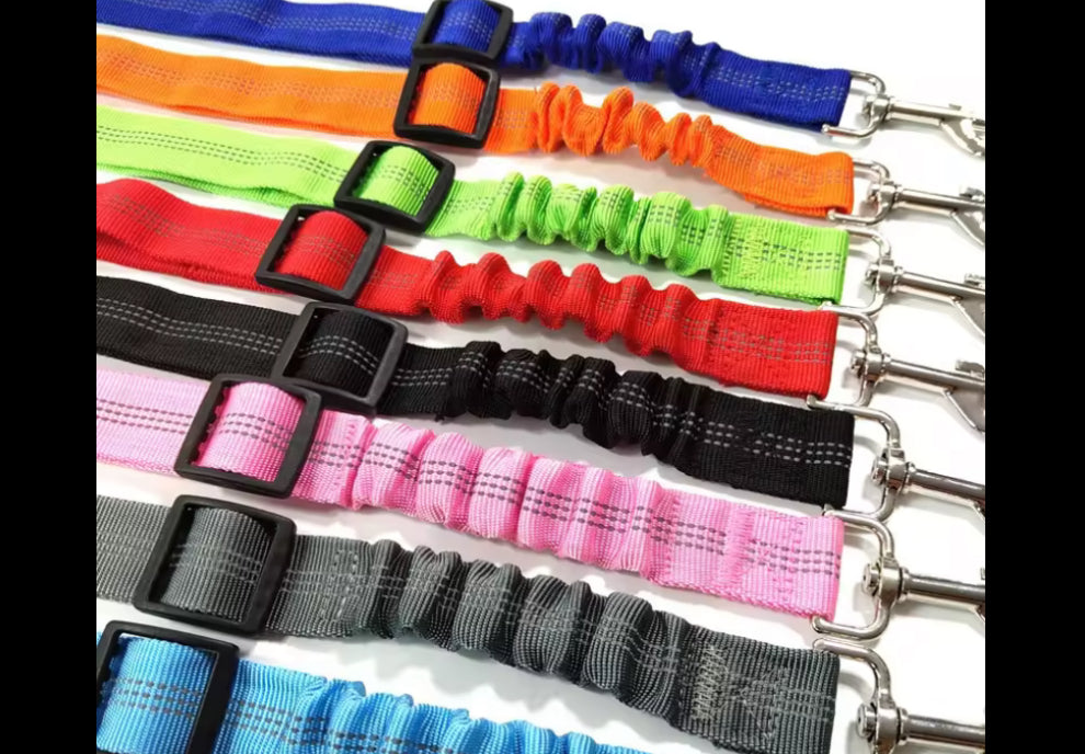 Dog Seat Belt