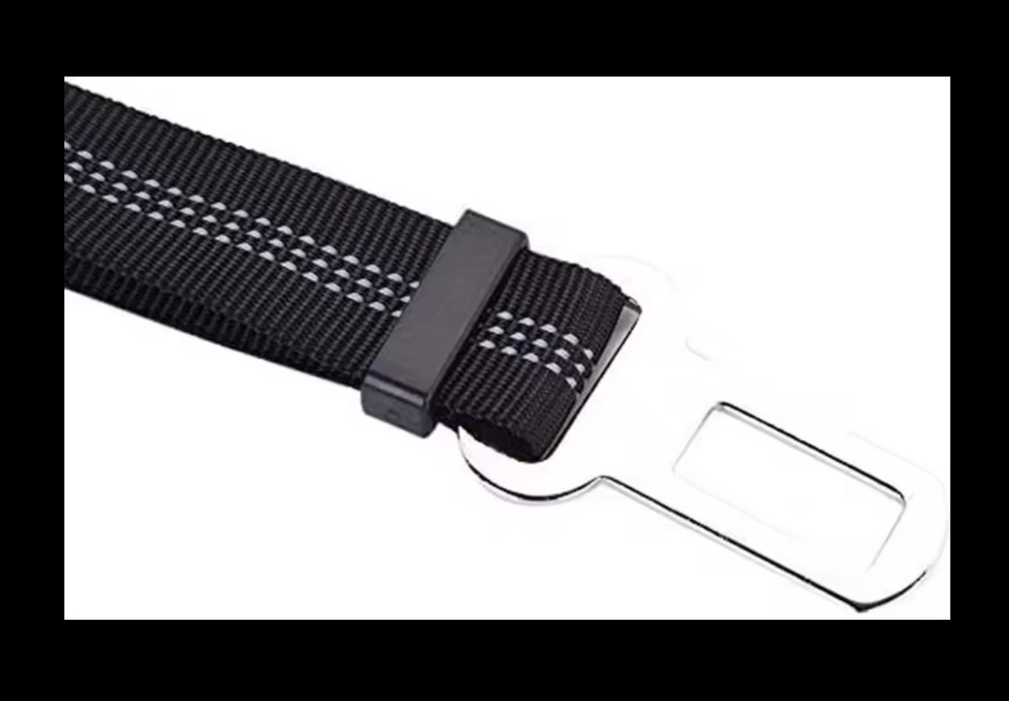 Dog Seat Belt