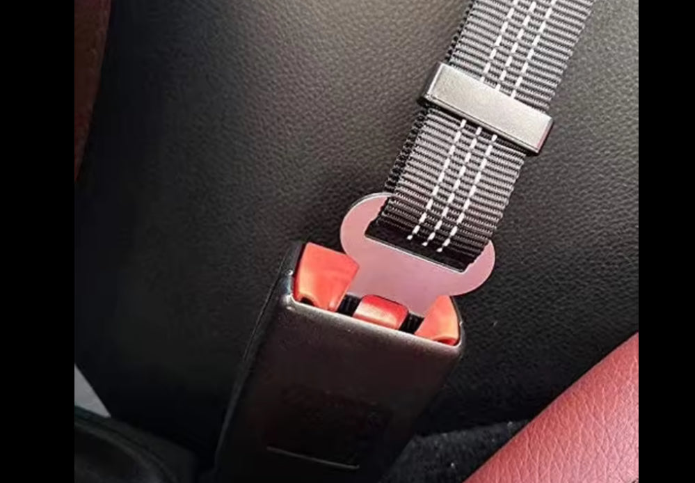 Dog Seat Belt