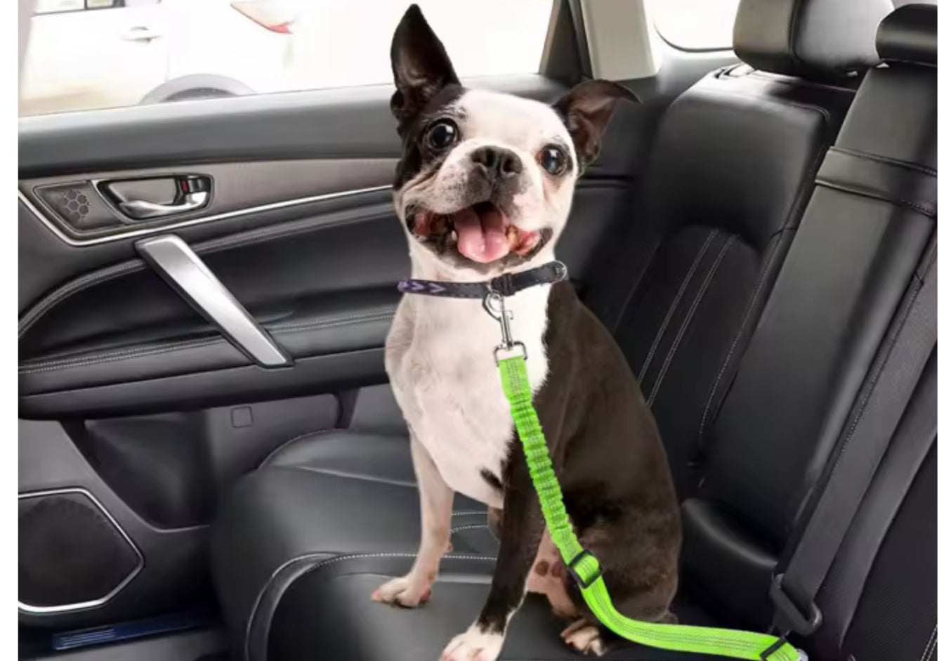 Dog Seat Belt