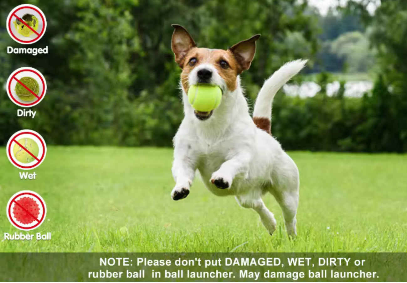 Mini Tennis Automatic Dog Ball Launcher