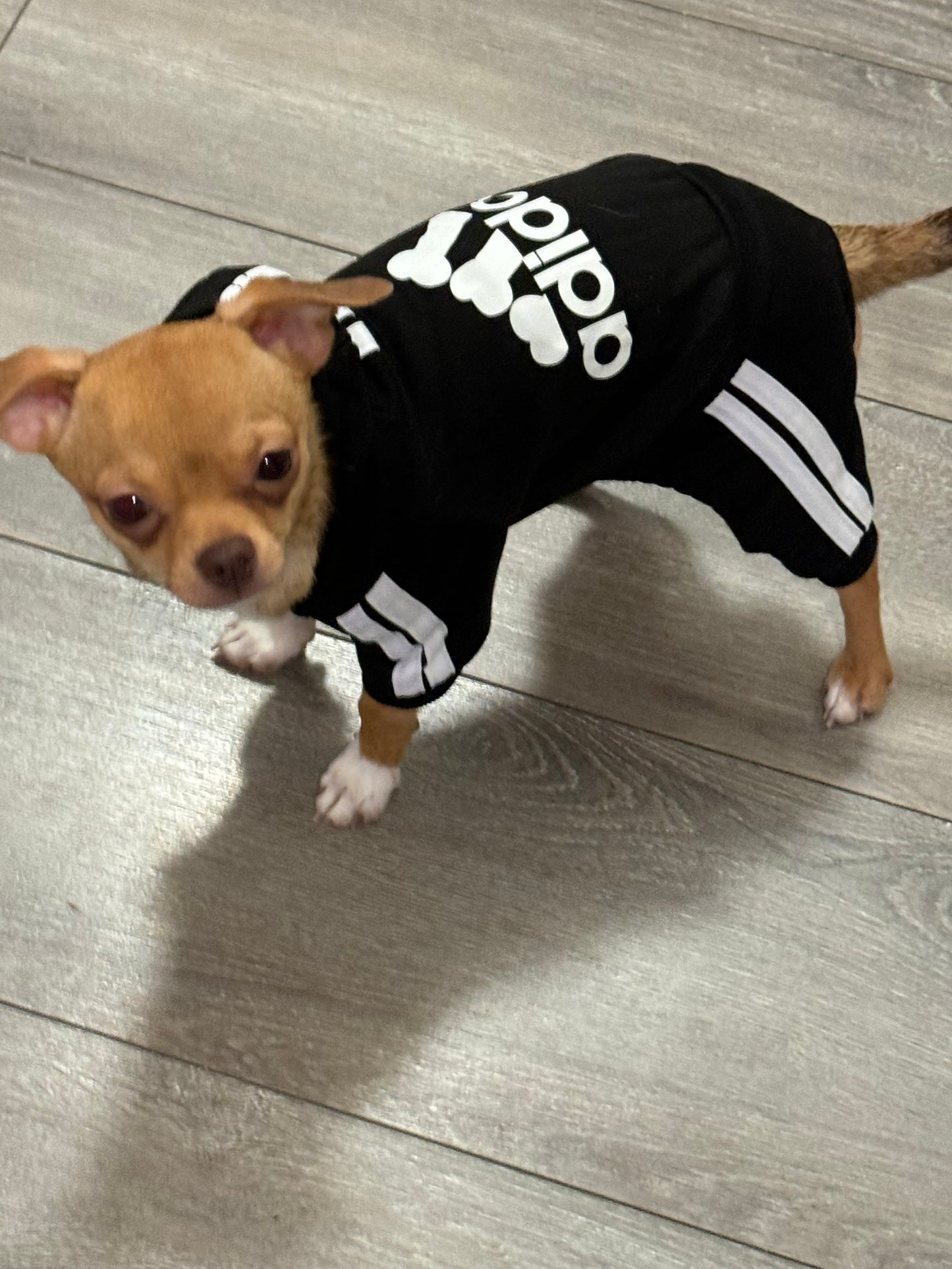Hoodie With Button