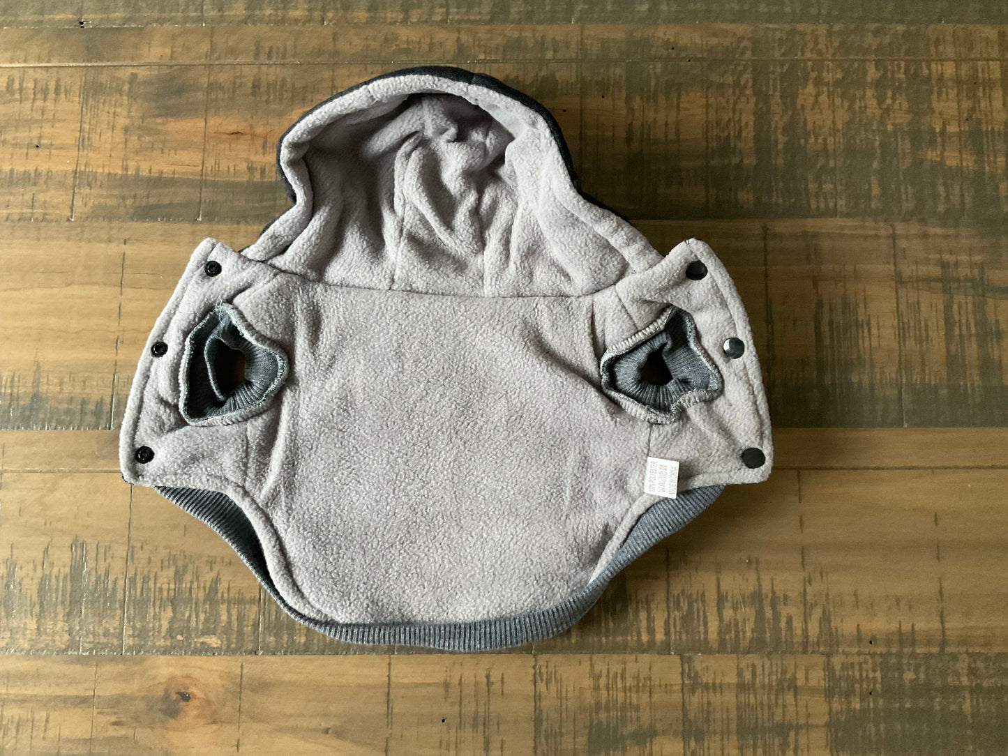 Chihuahua Luxury Hooded Winter Jacket