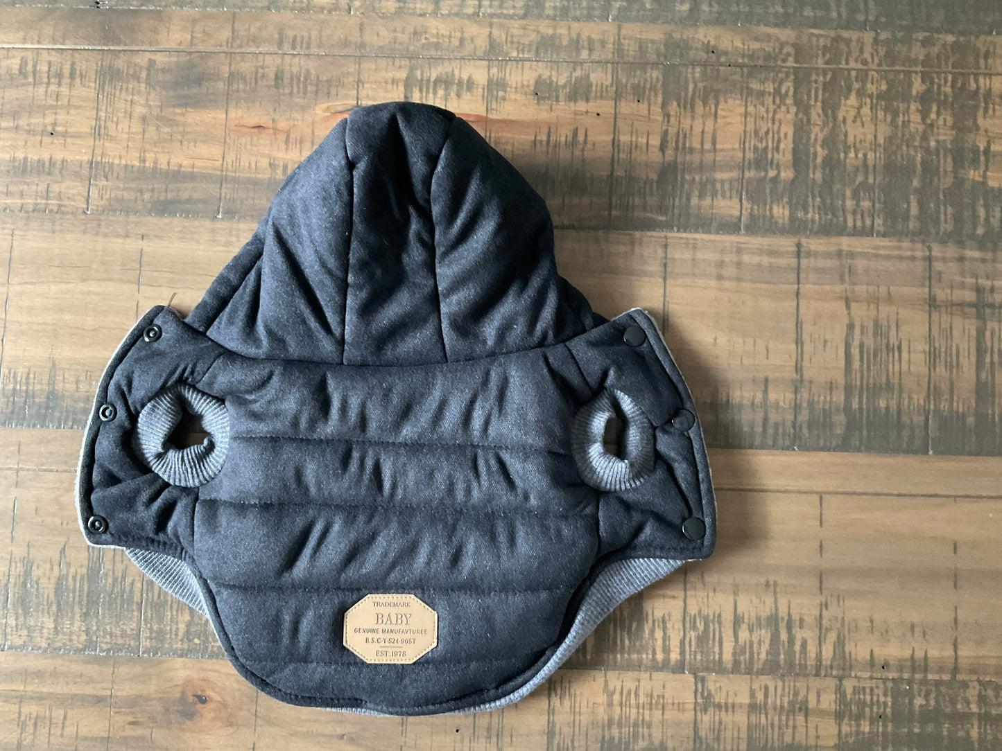 Chihuahua Luxury Hooded Winter Jacket