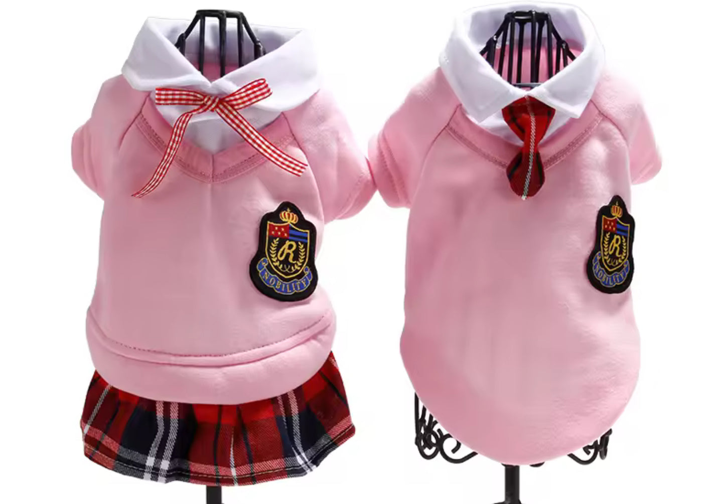 Cute Chihuahua School Outfit