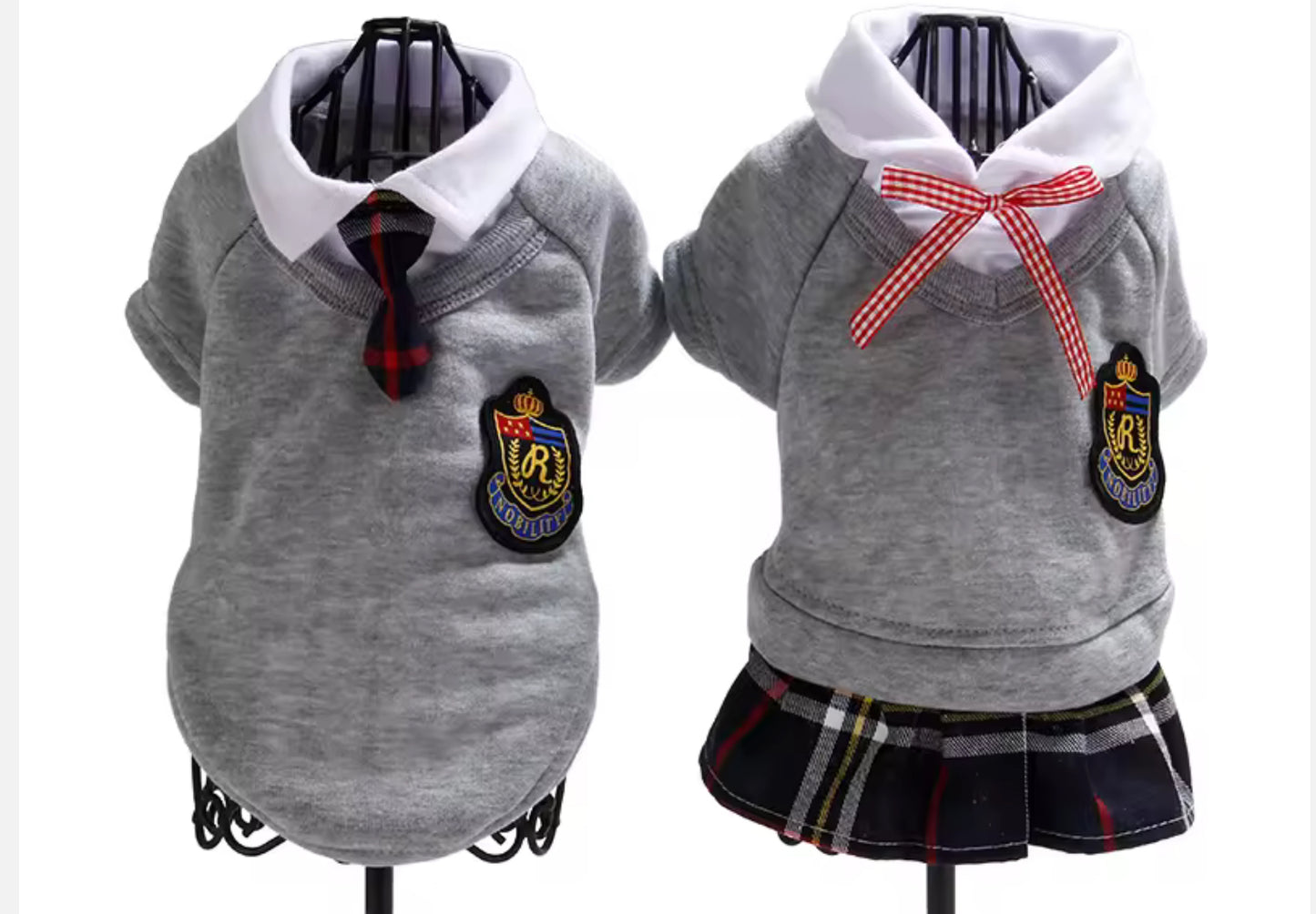 Cute Chihuahua School Outfit