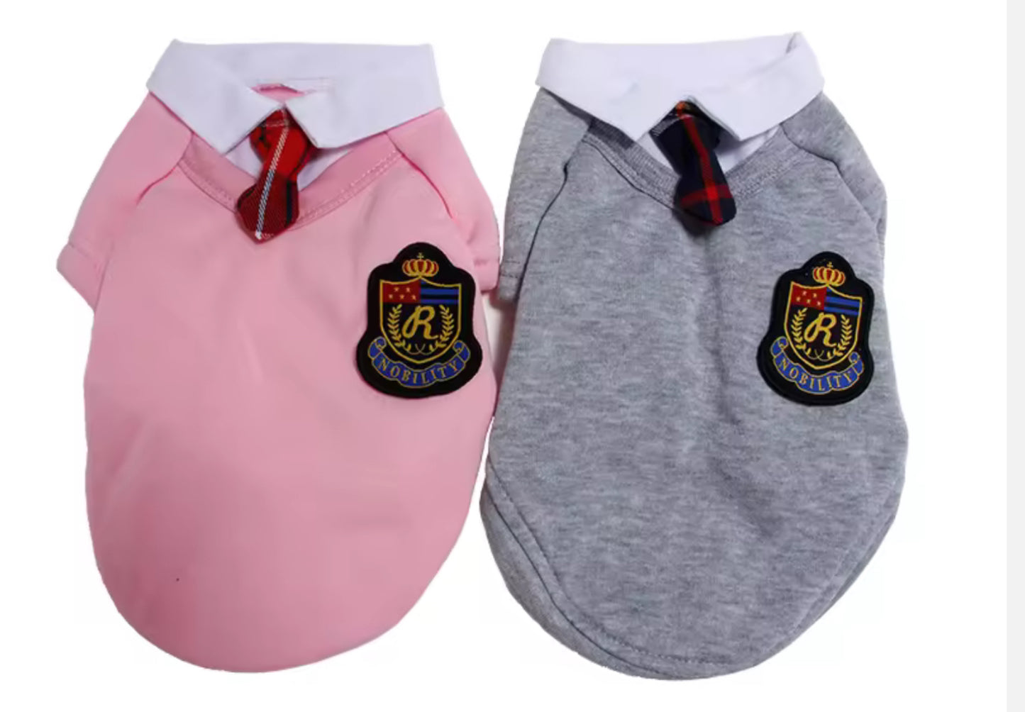 Cute Chihuahua School Outfit