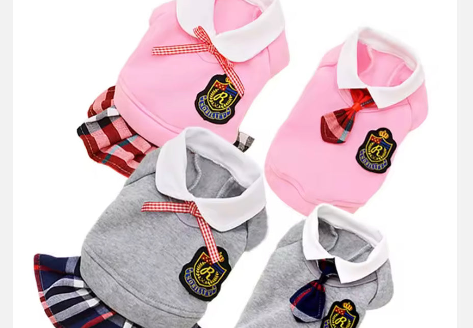 Cute Chihuahua School Outfit