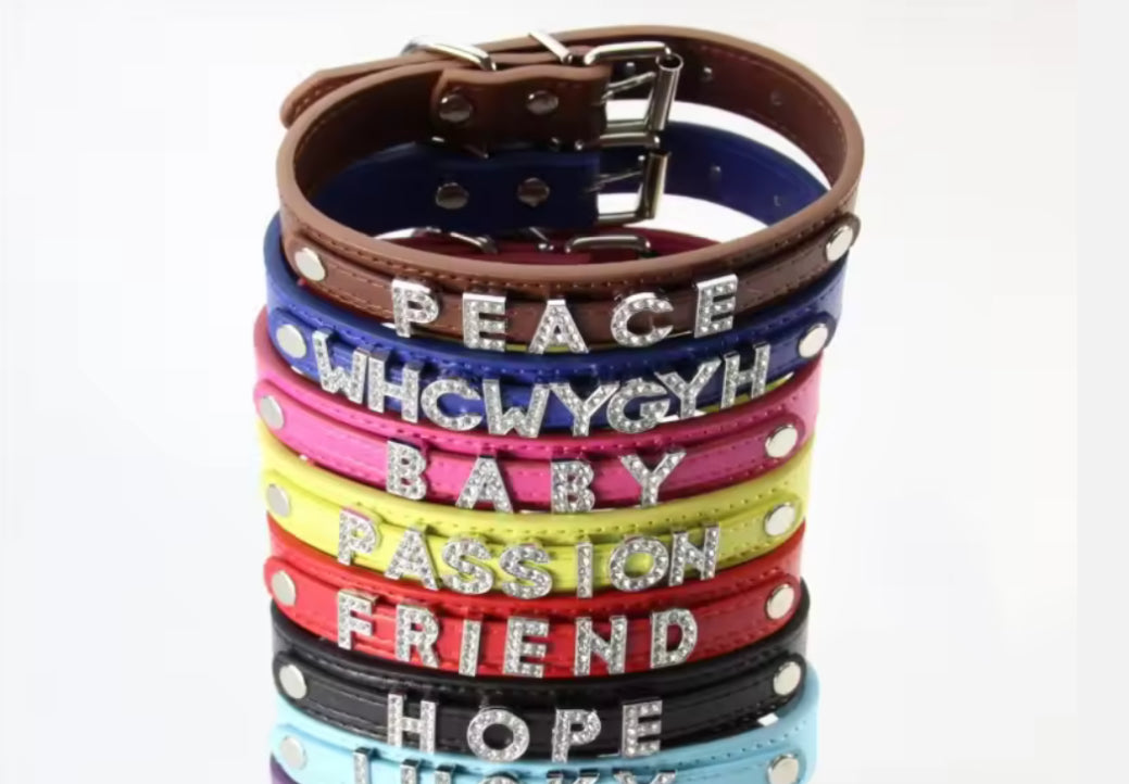 Chihuahua Personalized Collar