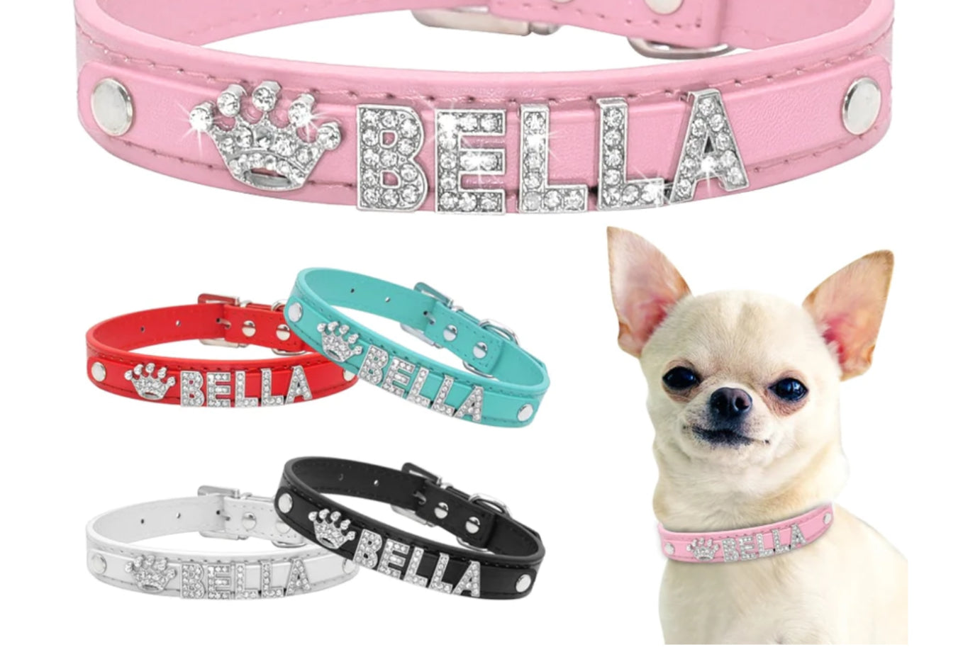 Chihuahua Personalized Collar