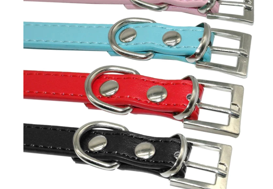 Chihuahua Personalized Collar