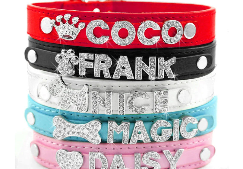 Chihuahua Personalized Collar