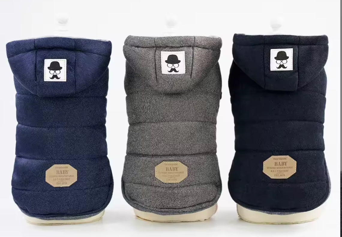 Chihuahua Luxury Hooded Winter Jacket