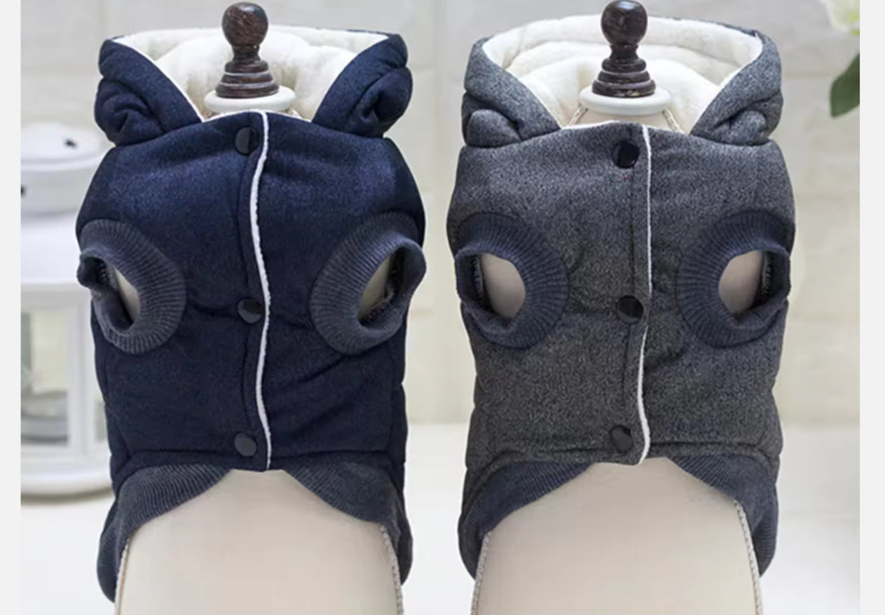 Chihuahua Luxury Hooded Winter Jacket