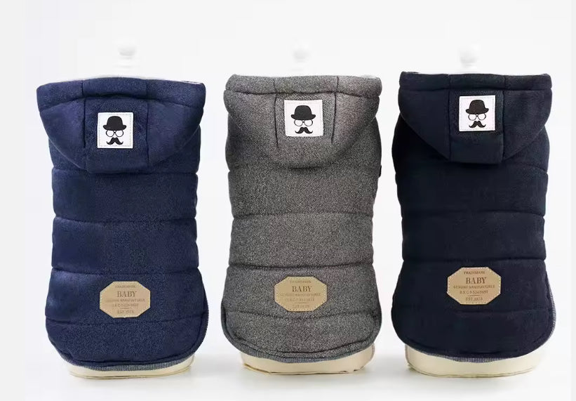 Chihuahua Luxury Hooded Winter Jacket