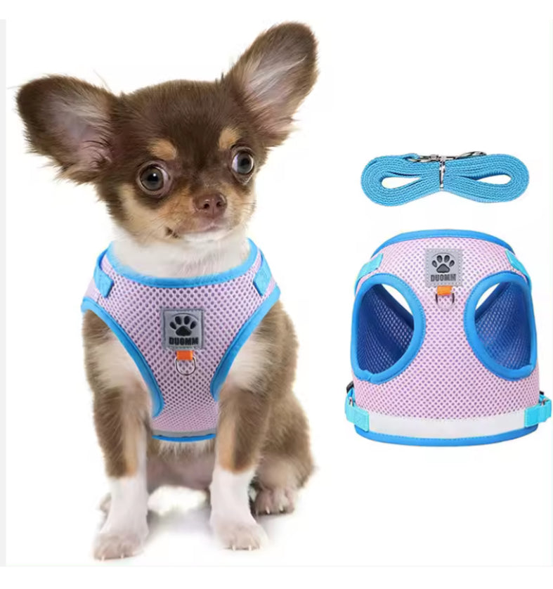 Escape Proof Harness