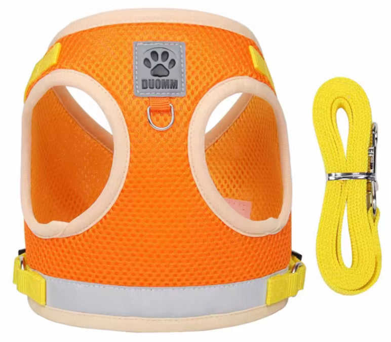 Escape Proof Harness