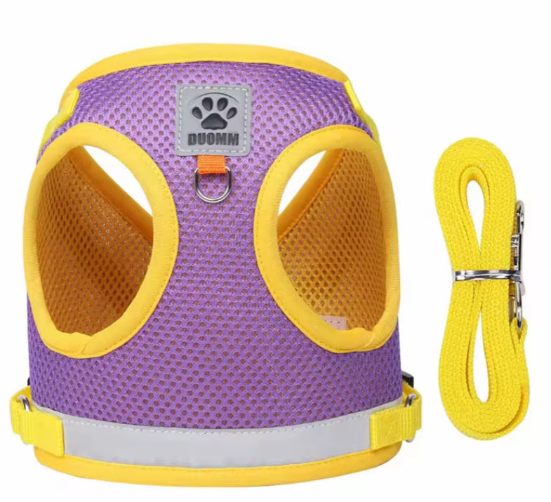 Escape Proof Harness